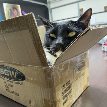Playful black and white cat peeking out from a cardboard box, showcasing its adorable green eyes.